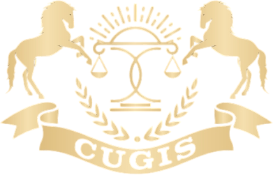 CUGIS 实验室